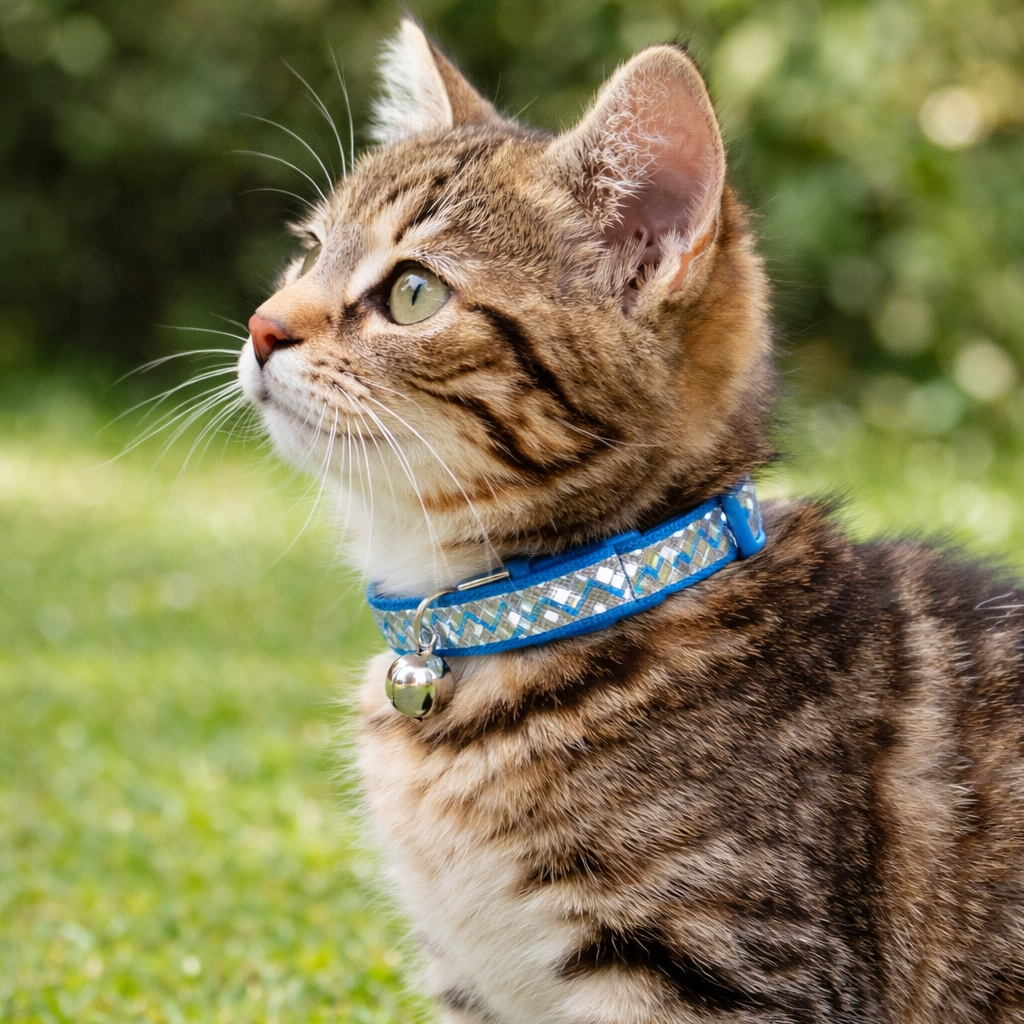 Reflective Zigzag Cat Collar - Adjustable Safety Breakaway Collar ( Blue)