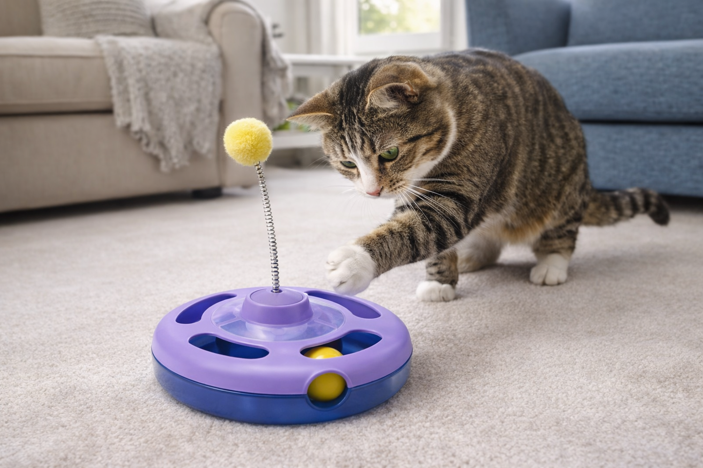 Interactive cat Playground Toy | Rolling Base & Teaser Wand for Active Play