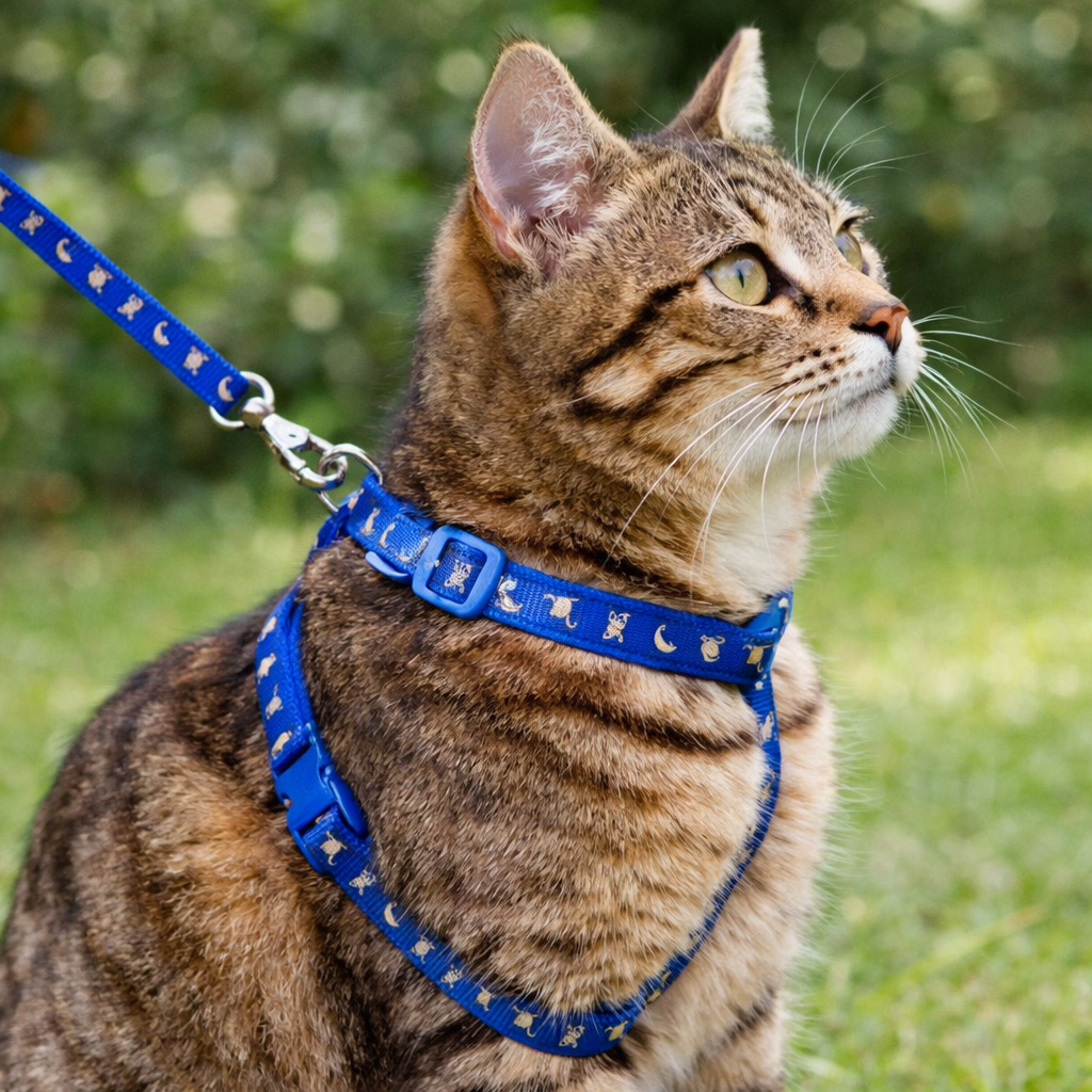 Adjustable Cat Harness & Lead Set - Escape-Safe Walking Harness (Blue)