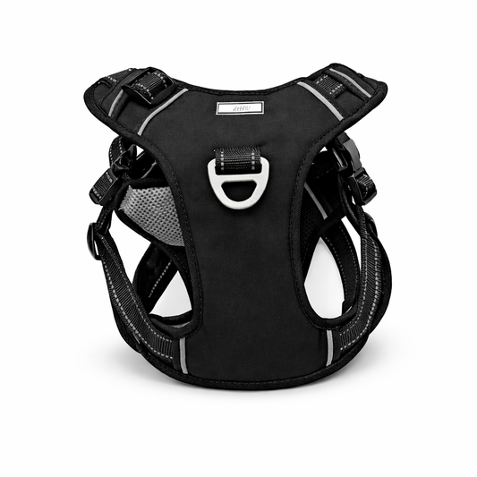 Comfort Control Dog Harness-Black