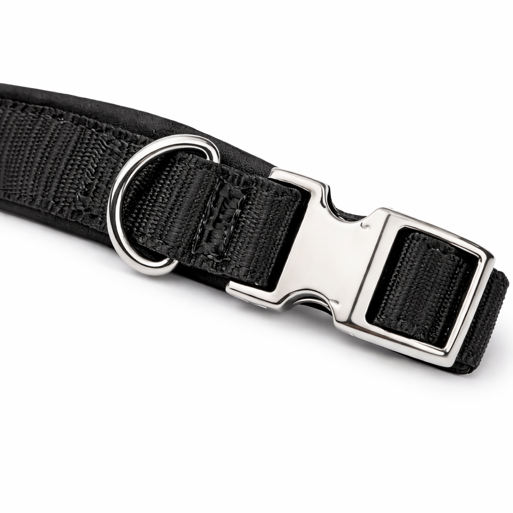 Comfort Control Dog Collar-Black