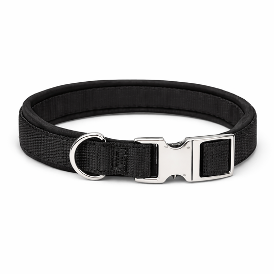Comfort Control Dog Collar-Black