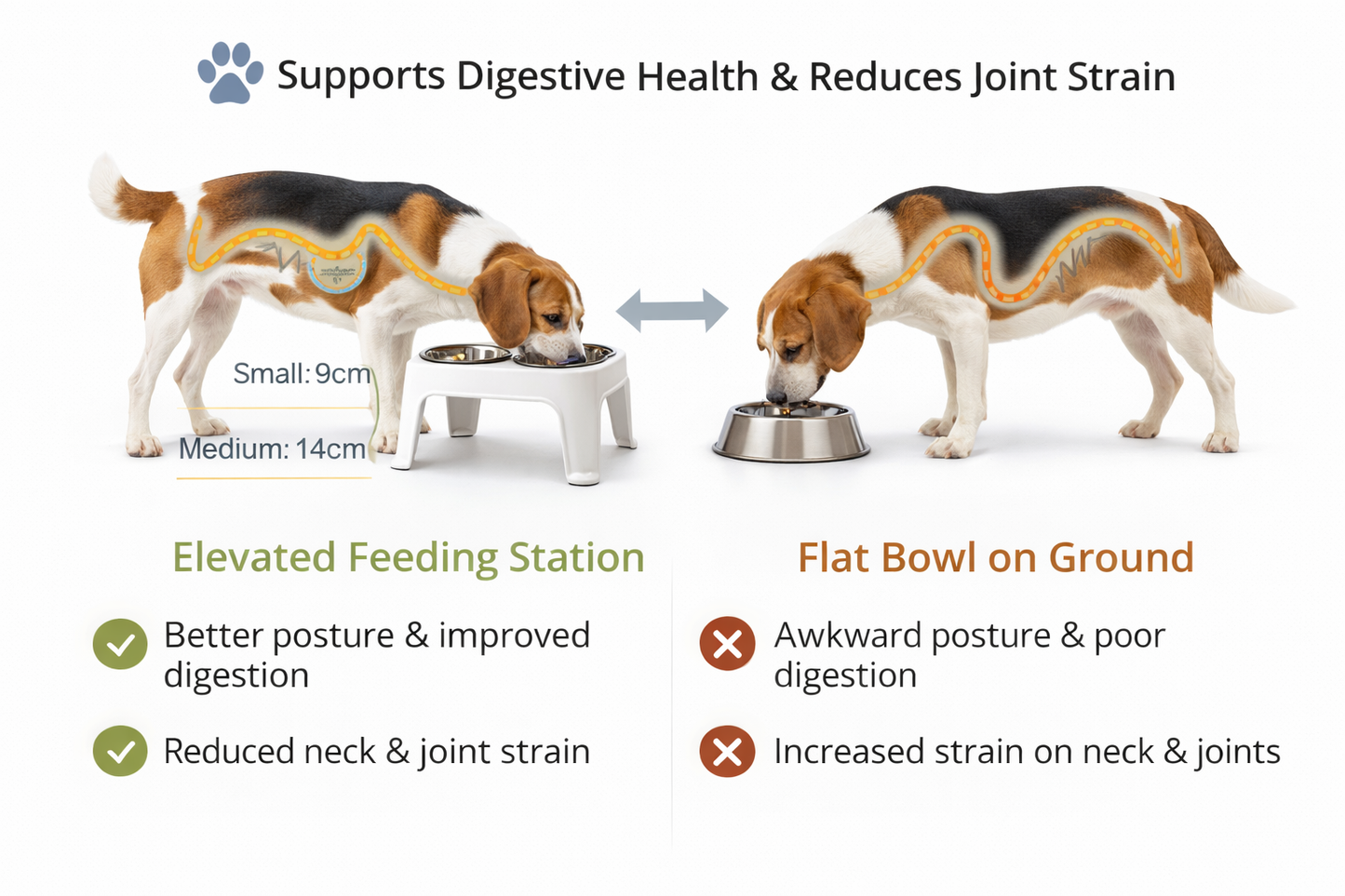 Elevated Dog Feeding Station with  Bowls | Goldenkind Pets